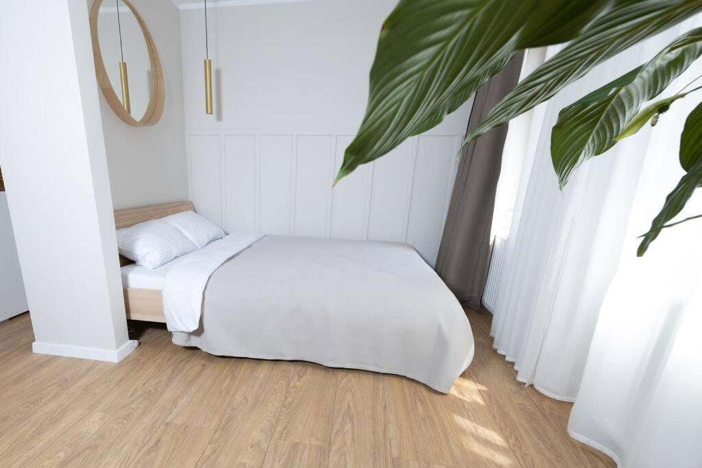 Design & Relax #Altstadt #Sauna Wittenberg Экстерьер фото